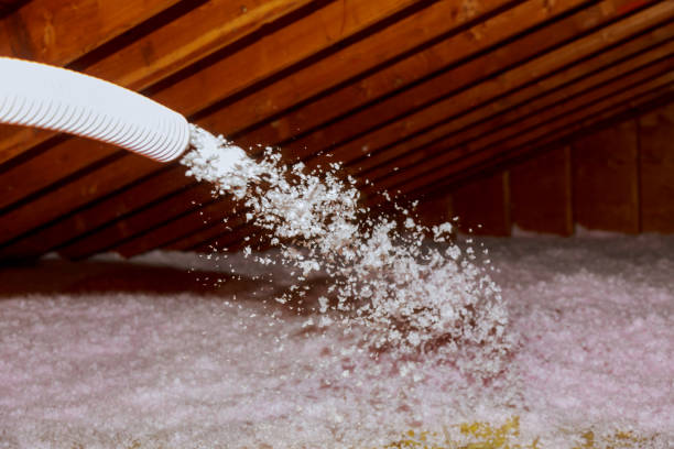 Best Commercial Insulation in Homosassa, FL