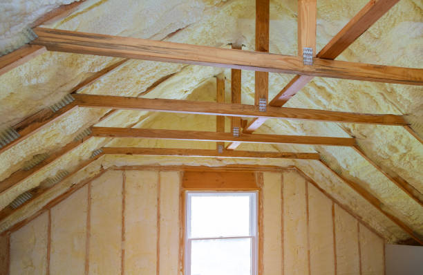 Professional Insulation Contractor in Homosassa, FL