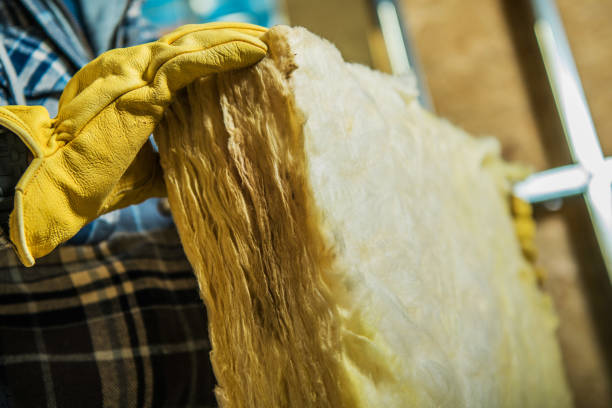 Best Spray Foam Insulation in Homosassa, FL