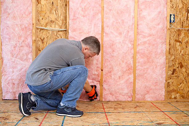Best Energy Efficiency Insulation in Homosassa, FL
